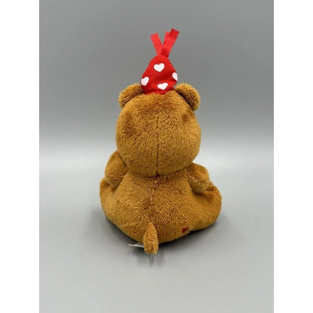 Care Bears Tender Heart Birthday Bear Small Plush 5